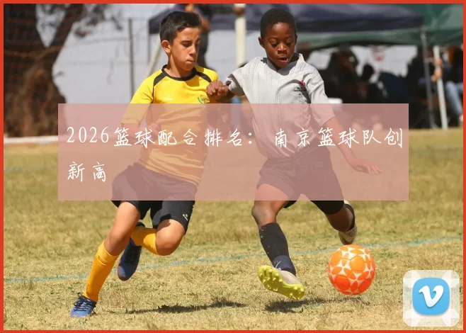 2026篮球配合排名：南京篮球队创新高