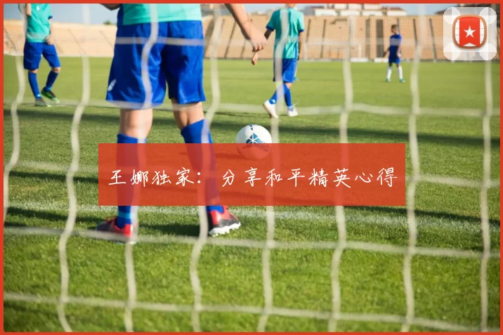 王娜独家：分享和平精英心得