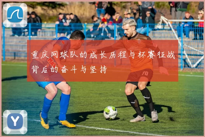 重庆网球队的成长历程与杯赛征战背后的奋斗与坚持