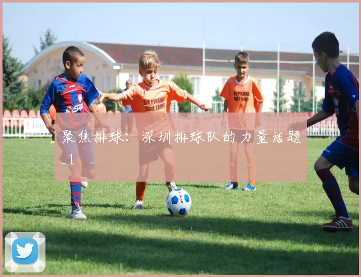 聚焦排球：深圳排球队的力量话题_1